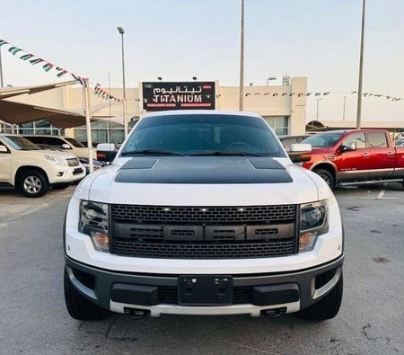 Ford F 150 Raptor 2014, photo 2 of 4
