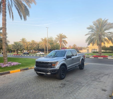 Argent Ford F Series Pickup FX4 2023
