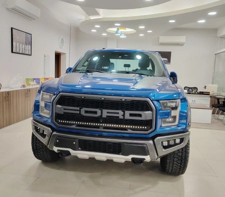Ford F-Series Raptor 2018, photo 2 of 4