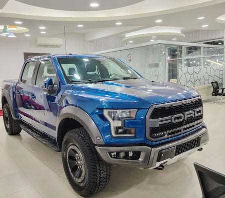 Ford F-Series Raptor 2018, photo 3 of 4