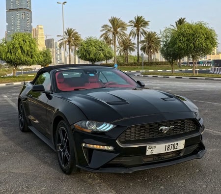 Ford Mustang Convertible 2021, photo 4 of 4