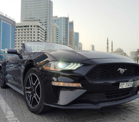 Ford Mustang Convertible 2023