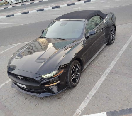 Ford Mustang Convertible 2023