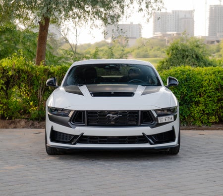 Ford Mustang Dark Horse V8 2024, photo 2 of 4