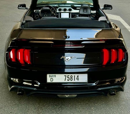 Ford Mustang EcoBoost Convertible V4 2021