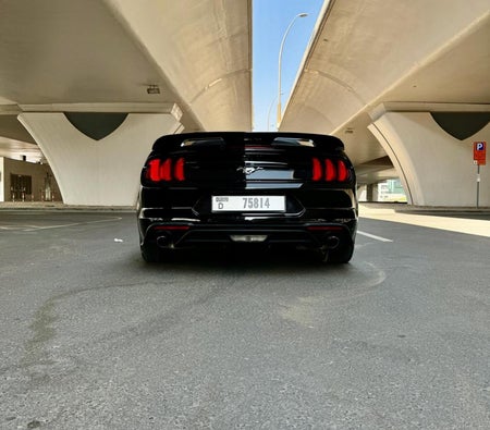 Ford Mustang EcoBoost Convertible V4 2021