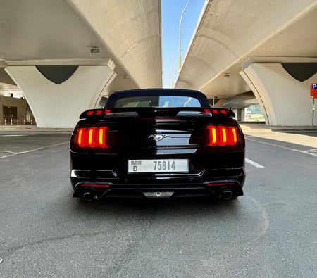 Ford Mustang EcoBoost Convertible V4 2021