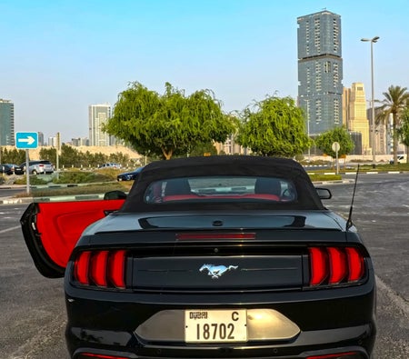 Ford Mustang EcoBoost Convertible V4 2021