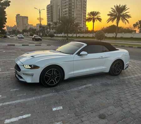 Ford Mustang EcoBoost Convertible V4 2021