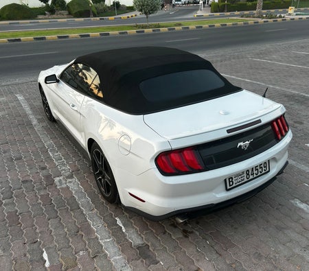 Ford Mustang EcoBoost Convertible V4 2021
