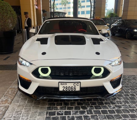 Ford Mustang EcoBoost Convertible V4 2023, photo 3 of 4