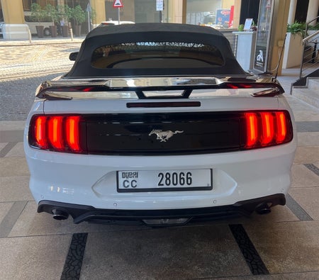 Ford Mustang EcoBoost Convertible V4 2023, photo 4 of 4
