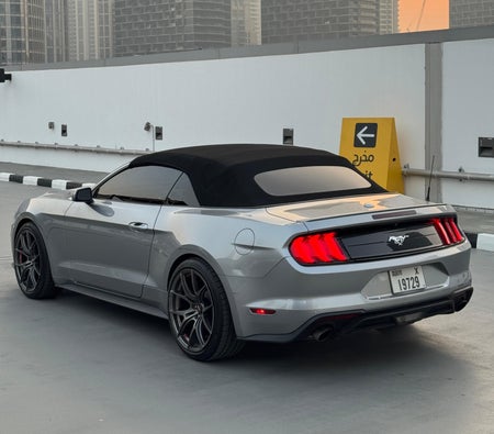 Ford Mustang EcoBoost Convertible V4 2022