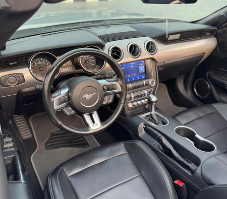 Ford Mustang EcoBoost Convertible V4 2022