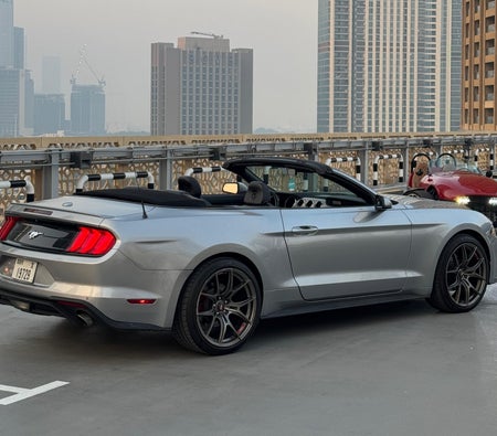 Ford Mustang EcoBoost Convertible V4 2022