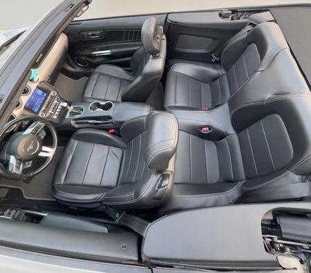 Ford Mustang EcoBoost Convertible V4 2022