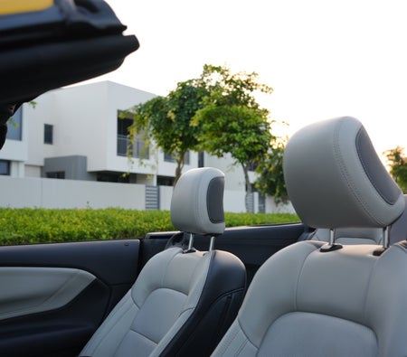 Ford Mustang EcoBoost Convertible V4 2024, photo 3 of 4