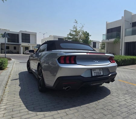 Ford Mustang EcoBoost Convertible V4 2024