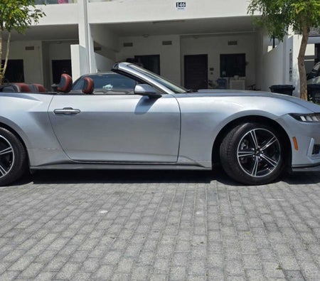 Ford Mustang EcoBoost Convertible V4 2024