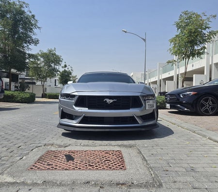 Ford Mustang EcoBoost Convertible V4 2024