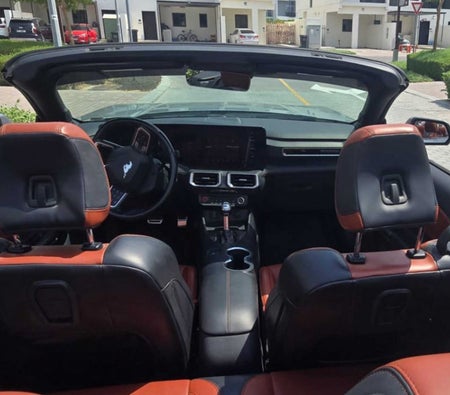 Ford Mustang EcoBoost Convertible V4 2024
