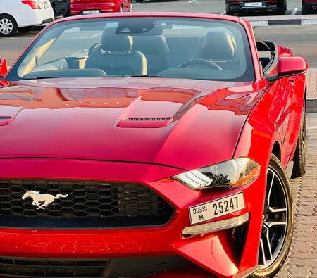 Красный металлик Ford Mustang Ecoboost Convertible 2023 год Красный металлик Ford Mustang Ecoboost Convertible 2023 год