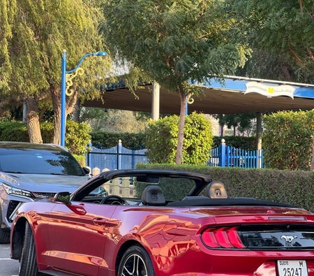 Красный металлик Ford Mustang Ecoboost Convertible 2023 год