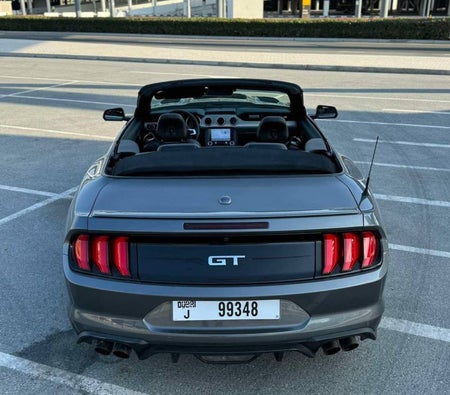 Ford Mustang GT Convertible V8 2023, photo 3 of 4