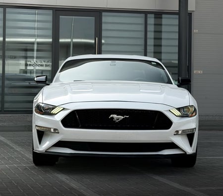 Ford Mustang GT Coupe V8 2025, photo 2 of 4