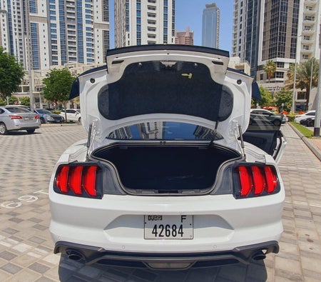 Ford Mustang Coupe Shelby GT500 Body Kit 2020