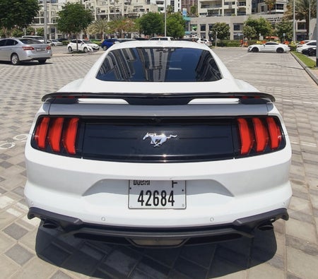 Ford Mustang Coupe Shelby GT500 Body Kit 2020