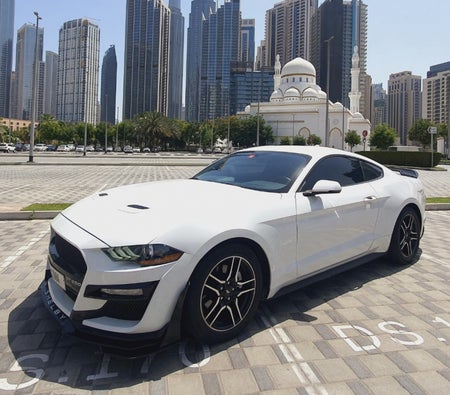 Ford Mustang Coupe Shelby GT500 Body Kit 2020