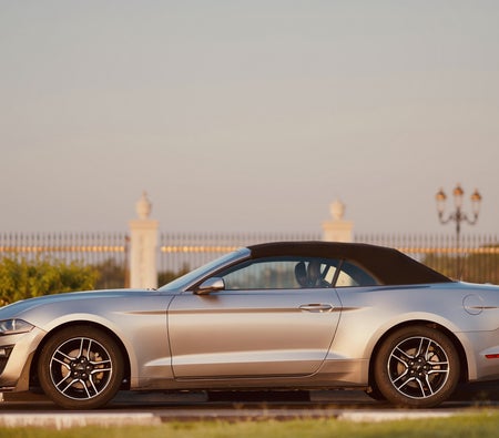 Ford Mustang Shelby GT500 Kit Convertible V4 2022