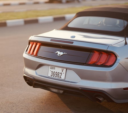 Ford Mustang Shelby GT500 Kit Convertible V4 2022