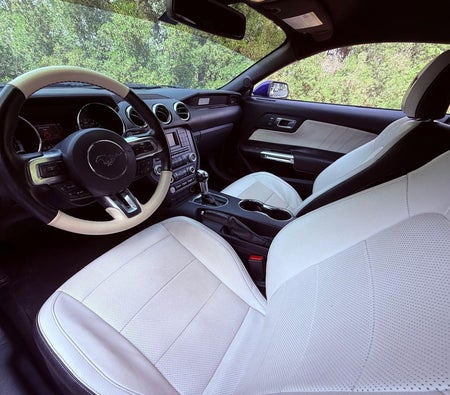 Blue Ford Mustang Other 2015