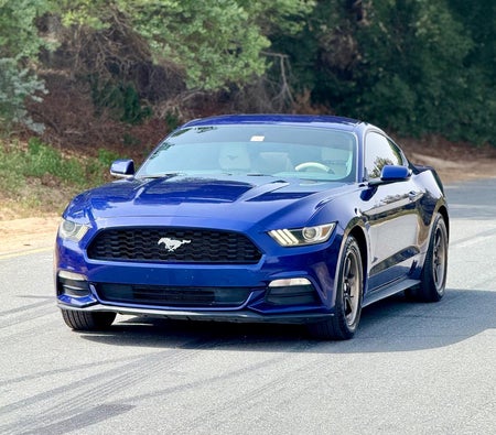 Blue Ford Mustang Other 2015
