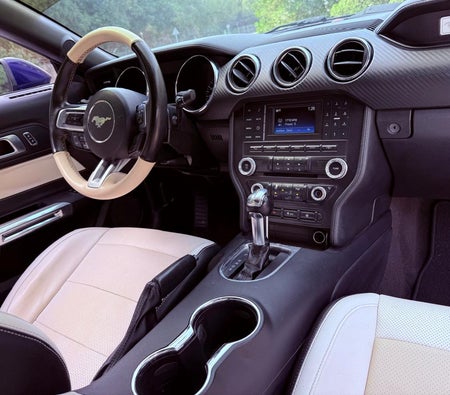 Blue Ford Mustang Other 2015