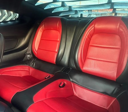 Ford Mustang GT 2016, photo 2 of 4