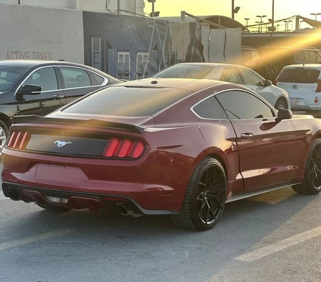 Burgundy Ford Mustang EcoBoost 2017