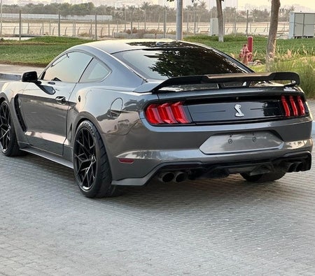 Ford Mustang Premium 2018, photo 4 of 4