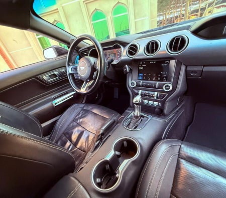 Gray Ford Mustang GT 2019