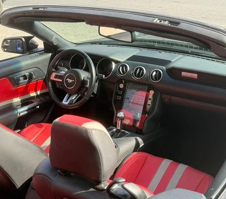 Ford Mustang EcoBoost 2019, photo 3 of 4
