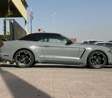 Ford Mustang EcoBoost 2019, photo 4 of 4