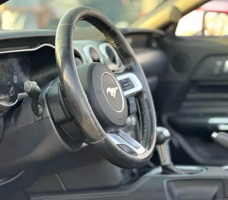 Ford Mustang Convertible GT 2019, photo 2 of 4