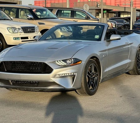 Ford Mustang Convertible GT 2019, photo 3 of 4