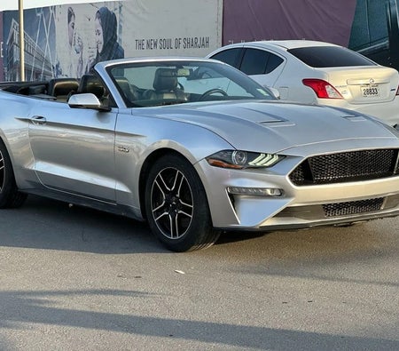Ford Mustang Convertible GT 2019, photo 4 of 4