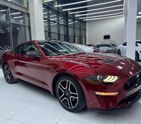 Burgund Ford Mustang EcoBoost 2019