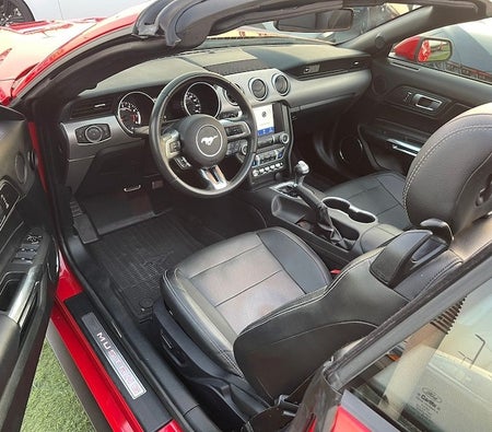 Ford Mustang EcoBoost Premium 2020, photo 4 of 4