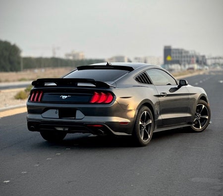 Ford Mustang 2020, photo 4 of 4