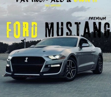 Ford Mustang 2020, photo 2 of 4